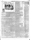Enniscorthy Guardian Saturday 02 February 1901 Page 3
