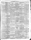 Enniscorthy Guardian Saturday 09 February 1901 Page 5