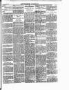 Enniscorthy Guardian Saturday 09 March 1901 Page 5