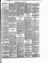 Enniscorthy Guardian Saturday 09 March 1901 Page 7