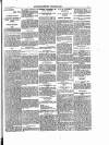 Enniscorthy Guardian Saturday 16 March 1901 Page 5