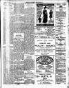 Enniscorthy Guardian Saturday 23 March 1901 Page 2
