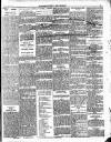 Enniscorthy Guardian Saturday 23 March 1901 Page 4