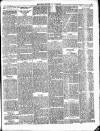 Enniscorthy Guardian Saturday 07 September 1901 Page 5