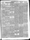 Enniscorthy Guardian Saturday 21 September 1901 Page 7