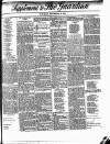 Enniscorthy Guardian Saturday 21 September 1901 Page 9