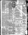 Enniscorthy Guardian Saturday 04 January 1902 Page 3