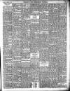 Enniscorthy Guardian Saturday 01 February 1902 Page 11