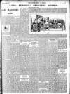 Enniscorthy Guardian Saturday 22 March 1902 Page 3