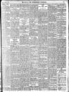 Enniscorthy Guardian Saturday 22 March 1902 Page 11