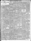 Enniscorthy Guardian Saturday 22 March 1902 Page 13