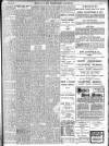 Enniscorthy Guardian Saturday 22 March 1902 Page 15