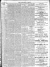 Enniscorthy Guardian Saturday 22 March 1902 Page 19