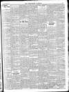 Enniscorthy Guardian Saturday 07 June 1902 Page 17