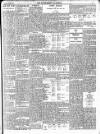 Enniscorthy Guardian Saturday 21 June 1902 Page 5