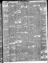 Enniscorthy Guardian Saturday 04 October 1902 Page 17