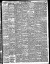 Enniscorthy Guardian Saturday 18 October 1902 Page 17