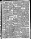 Enniscorthy Guardian Saturday 18 October 1902 Page 19