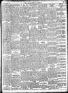 Enniscorthy Guardian Saturday 01 November 1902 Page 5