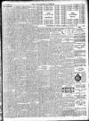 Enniscorthy Guardian Saturday 01 November 1902 Page 13