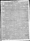 Enniscorthy Guardian Saturday 01 November 1902 Page 15