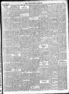 Enniscorthy Guardian Saturday 01 November 1902 Page 17