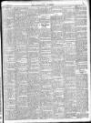 Enniscorthy Guardian Saturday 01 November 1902 Page 19