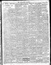 Enniscorthy Guardian Saturday 22 November 1902 Page 11