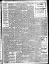 Enniscorthy Guardian Saturday 22 November 1902 Page 13