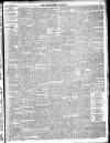 Enniscorthy Guardian Saturday 22 November 1902 Page 15