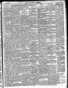 Enniscorthy Guardian Saturday 22 November 1902 Page 19