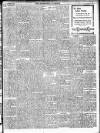 Enniscorthy Guardian Saturday 29 November 1902 Page 13