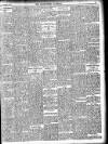 Enniscorthy Guardian Saturday 29 November 1902 Page 17