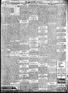 Enniscorthy Guardian Saturday 02 January 1904 Page 13