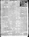 Enniscorthy Guardian Saturday 09 January 1904 Page 7