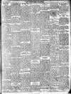 Enniscorthy Guardian Saturday 16 January 1904 Page 3