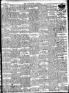 Enniscorthy Guardian Saturday 19 November 1904 Page 3