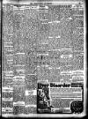 Enniscorthy Guardian Saturday 19 November 1904 Page 11