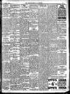 Enniscorthy Guardian Saturday 19 November 1904 Page 13