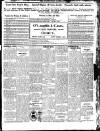 Enniscorthy Guardian Saturday 25 March 1916 Page 3