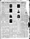 Enniscorthy Guardian Saturday 15 January 1916 Page 5