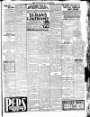 Enniscorthy Guardian Saturday 15 January 1916 Page 7