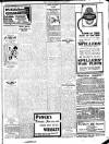 Enniscorthy Guardian Saturday 03 March 1917 Page 3