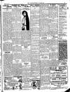 Enniscorthy Guardian Saturday 03 March 1917 Page 5