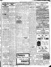 Enniscorthy Guardian Saturday 07 April 1917 Page 3