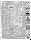 Enniscorthy Guardian Saturday 07 April 1917 Page 5