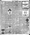 Enniscorthy Guardian Saturday 15 January 1921 Page 7
