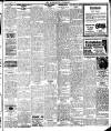 Enniscorthy Guardian Saturday 19 February 1921 Page 3
