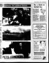 Bray People Friday 24 March 1989 Page 27