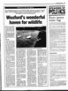 Gorey Guardian Thursday 05 May 1994 Page 17
